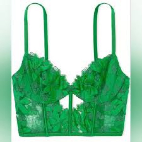 Victoria's Secret Very Sexy Ziggy Glam Embroidered Corset - Picture 2 of 5